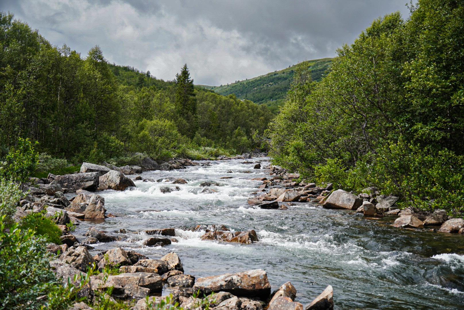 Nature